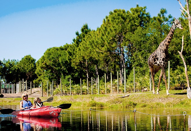 Florida tiene una costa espacial y está fuera de este mundo 